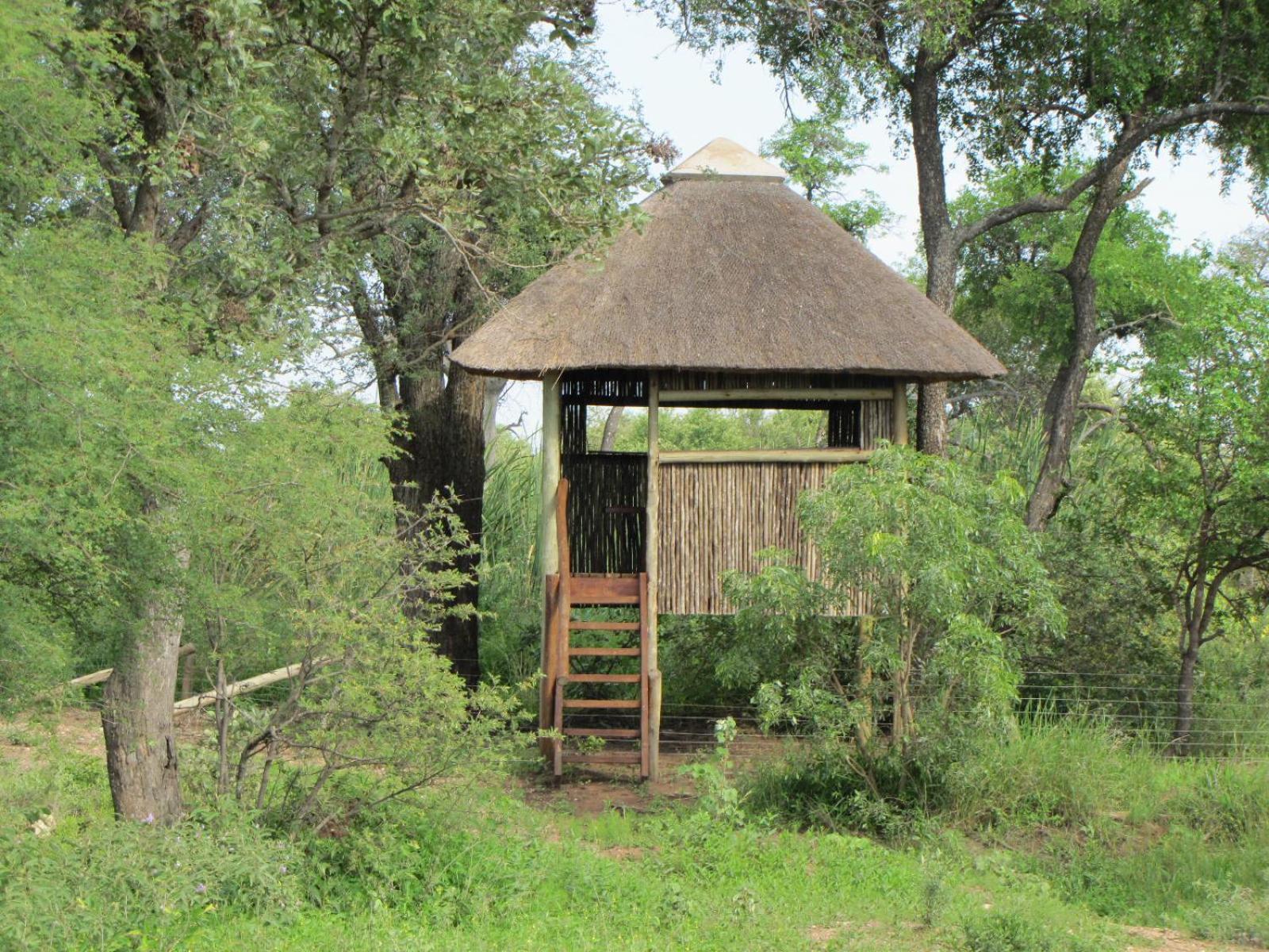 Lodge 54 Hoedspruit Kültér fotó