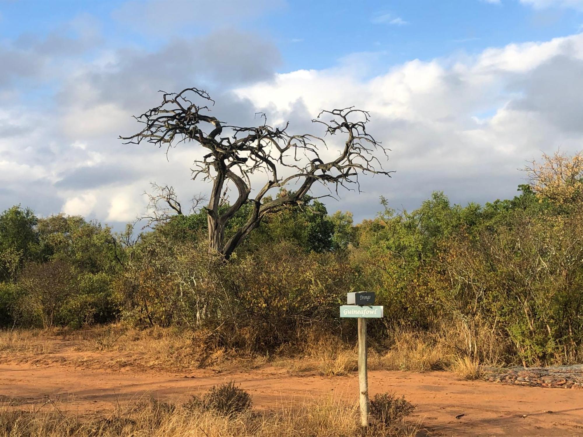 Lodge 54 Hoedspruit Kültér fotó